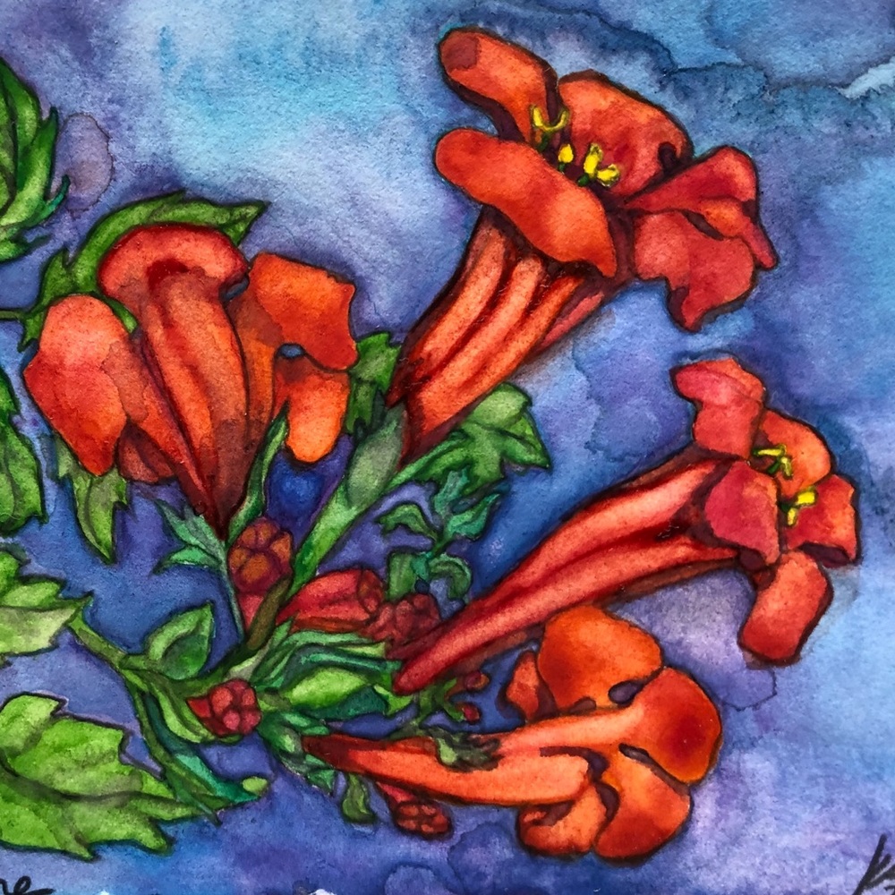 “Trumpet Vine” Watercolor Notecard